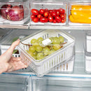 Organizadores de geladeira Fruta & Legume2,2 Litros - Utilize Casa